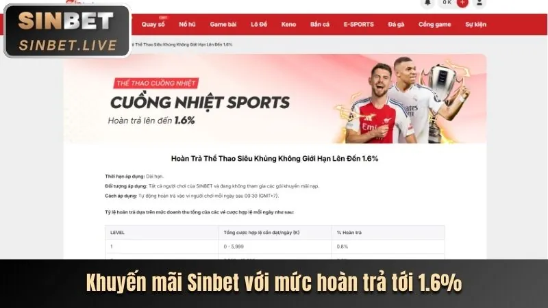 Tổng hợp các môn thể thao đa dạng như cầu lông, bóng chuyền, đua ngựa
